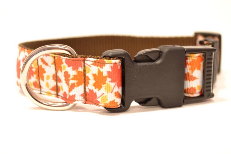 Fall Leaves Dog Collar - WillyWoofs
