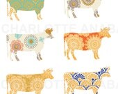 moroccan cattle