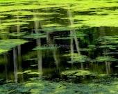 Abstract Reflection 8x10 Art Photograph Pond Side