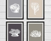 Coral Series  - Brawn and Warm Gray - Wall Art Home Decor Set of 4 8x10 Print