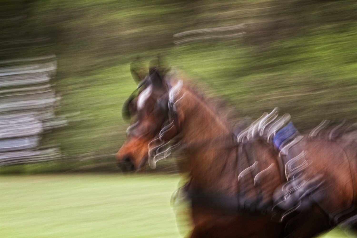 creative horse photography