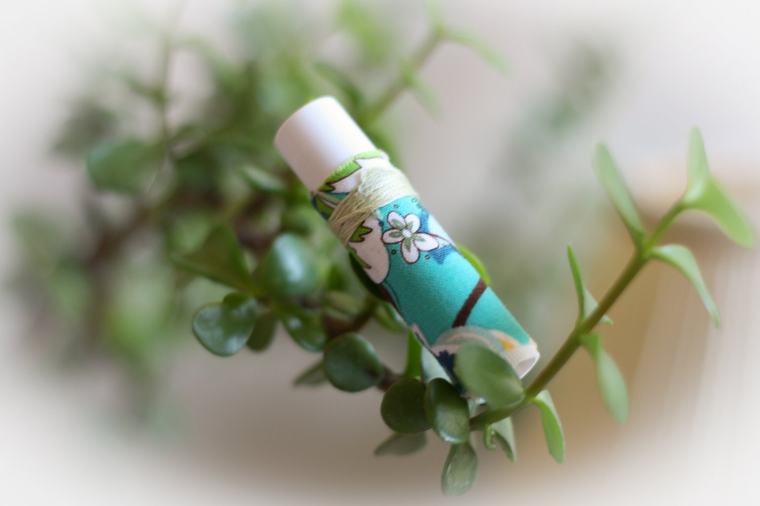 Coconut Chapstick