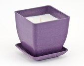 Terra.Potz 100% Soy Candle - 10oz  in Amethyst