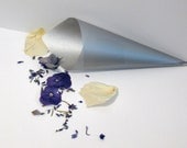 Elegant Silver Cones - un...