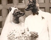 Fox Hollow Wedding 5x7 Anthropomorphic print