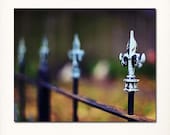 St. Louis Lafayette Square Fleur de Lis Fence Photograph. 8x10 Fine Art Print. Affordable Home Decor and Wall Art.