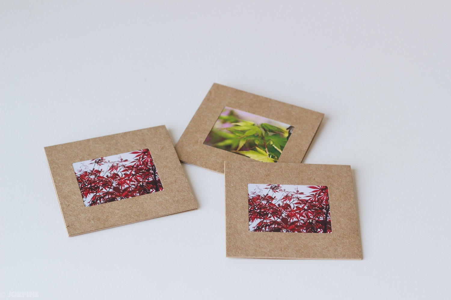 Japanese Maple mini photo cards - Set of three