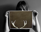 Deer antlers - Fathers Day - Nature photography - Wall decor in dark brown for a man cave, 11x14