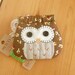 DIY Brown Owl Purse Kit. Includes ALL Materials and Pattern