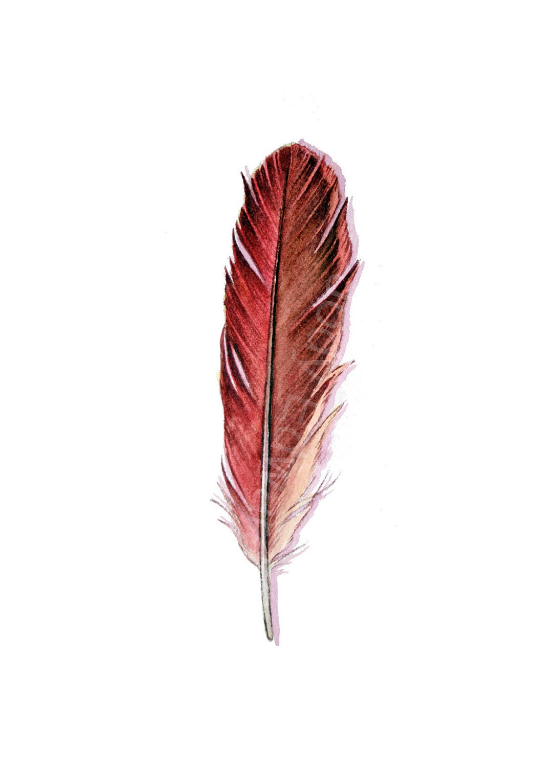 cardinal feather tattoo