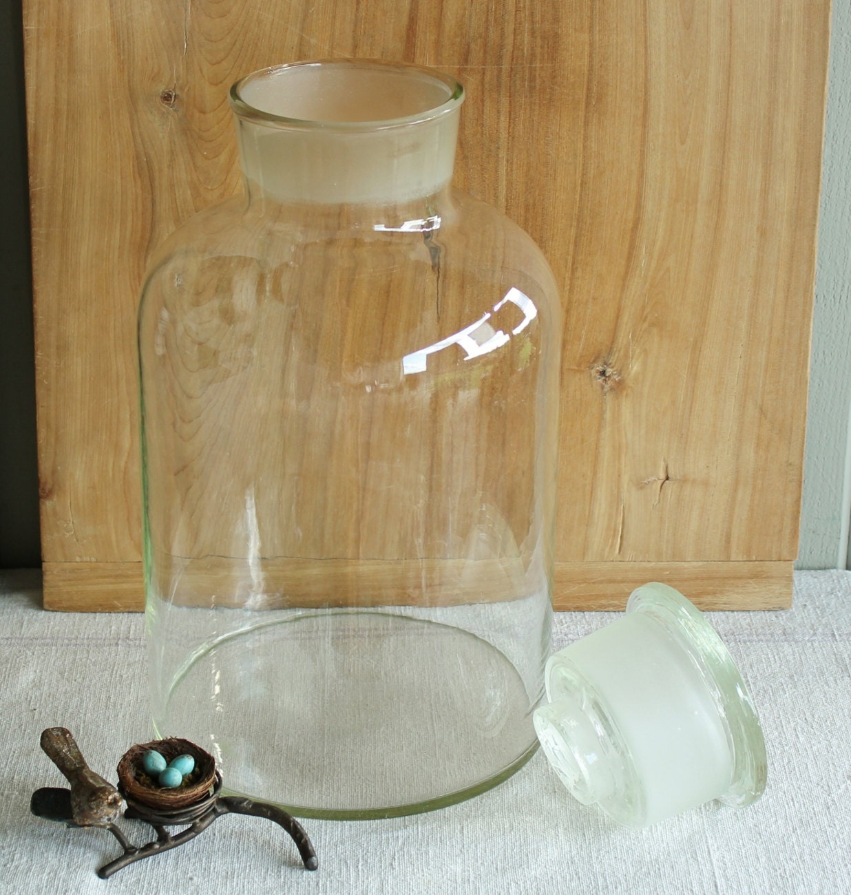 Huge Three Gal Antique Apothecary Terrarium Glass Jar