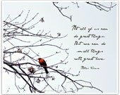 Inspirational Quote, Love, nature photography print, 8x10, robin
