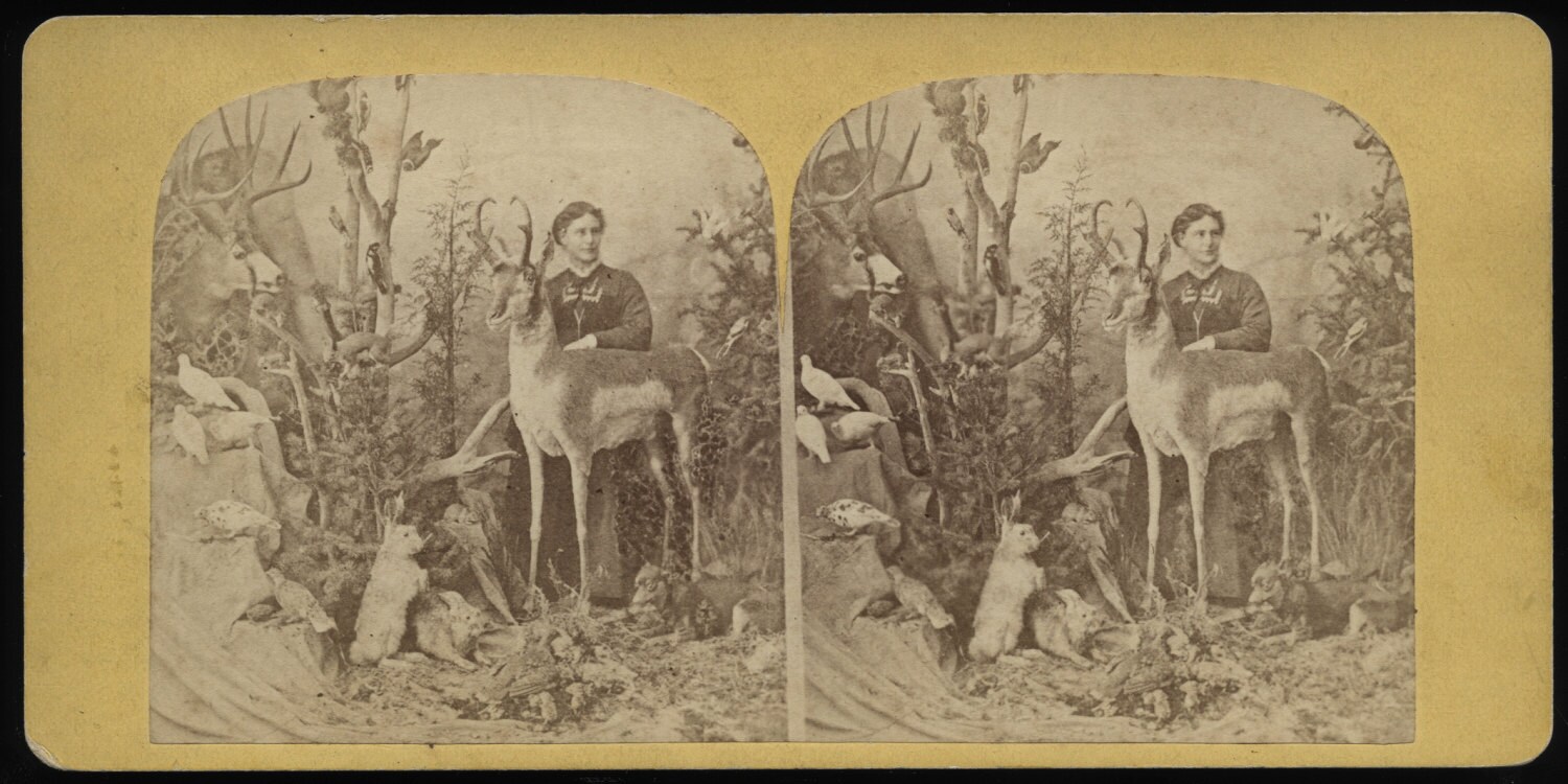 stereoview photography