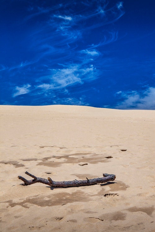 Fallen Tree Branch on the Silver Lake Dunes with Cirrus Clouds No.65