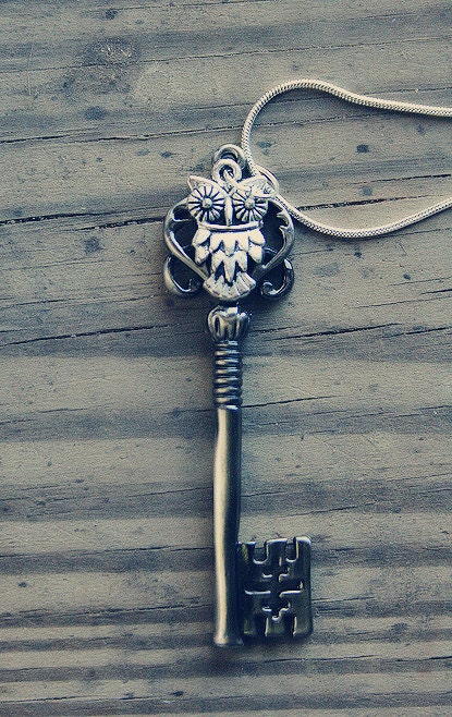 Silver Owl and Gunmetal Key Necklace