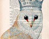 Drawing Illustration Giclee Prints Posters Mixed Media Art Acrylic Painting Holiday Decor Gifts: Owl with crown