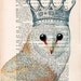 Drawing Illustration Giclee Prints Posters Mixed Media Art Acrylic Painting Holiday Decor Gifts: Owl with crown