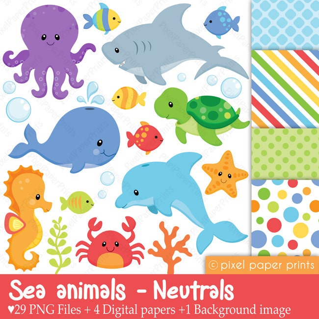 Sea animals - Neutrals - Clip art and digital paper set
