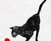 playing cat
