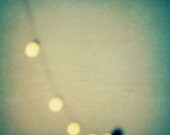 photography, bokeh, mid century, record frames, peacock, summer, minimalist, cafe, aquamarine,  glow, sky - The Party, two 12x12 photo