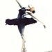 Black Swan Ballerina Feather Tutu Swan Lake - Digital Print of Watercolor 6 x 9 - Natalie Portman The Red Shoes Black Plumes