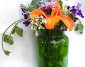 Green Glass Apothecary Jar, Vintage Glass Jar, Suncatcher Glass Jar, Jar as Vase