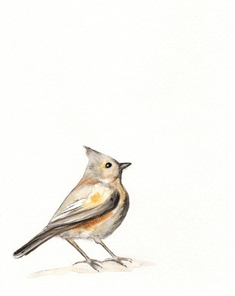 A Song of Ascent / Brown / Yellow /  Gray / Bird Watercolor print - kellybermudez