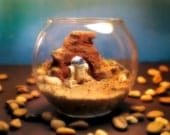 Mini R2D2 on Tatooine - Star Wars Terrarium World