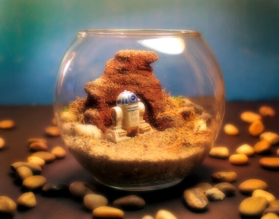 Mini R2D2 on Tatooine - Star Wars Terrarium World