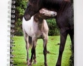 Address Book for Telephone , Email etc Cute Photo of Mom and Baby Horse in Northern Ireland