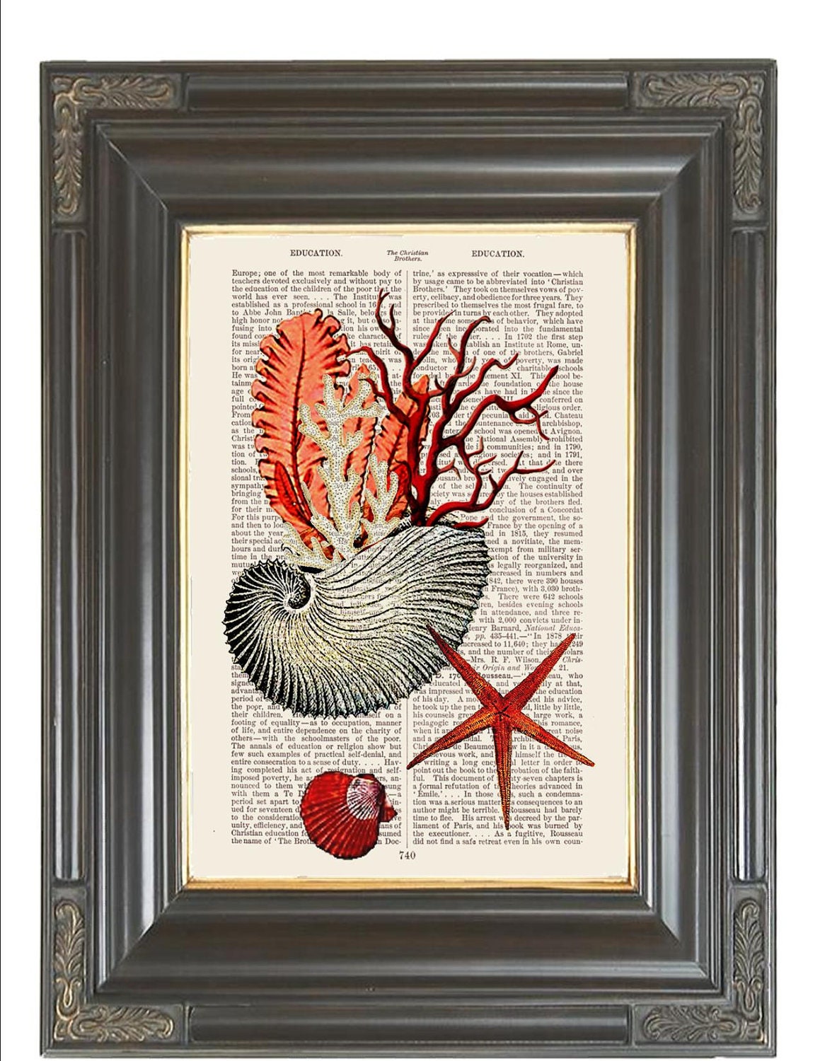 BOGO SALE Vintage shell coral collage Dictionary art print printed on antique 108 year old dictionary book page No. 390