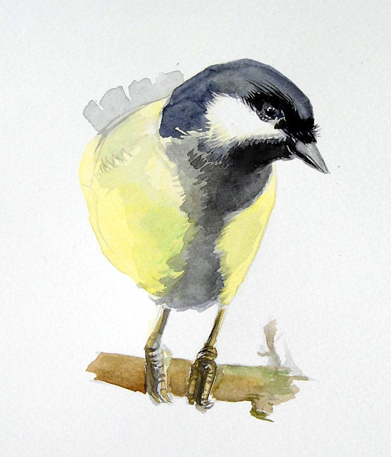 Chickadee print , Bird painting, Limited Edition Fine Art print from original watercolor, Koolmees, white, black, yellow colored wall art
