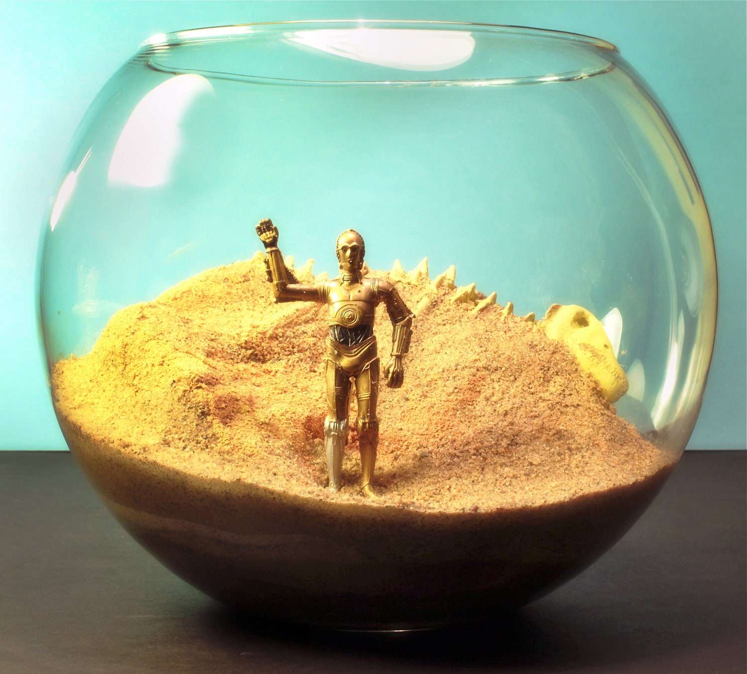 Star Wars - C3PO on Tatooine - Terrarium World