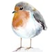 Baby Robin spring watercolour art print christy dekoning
