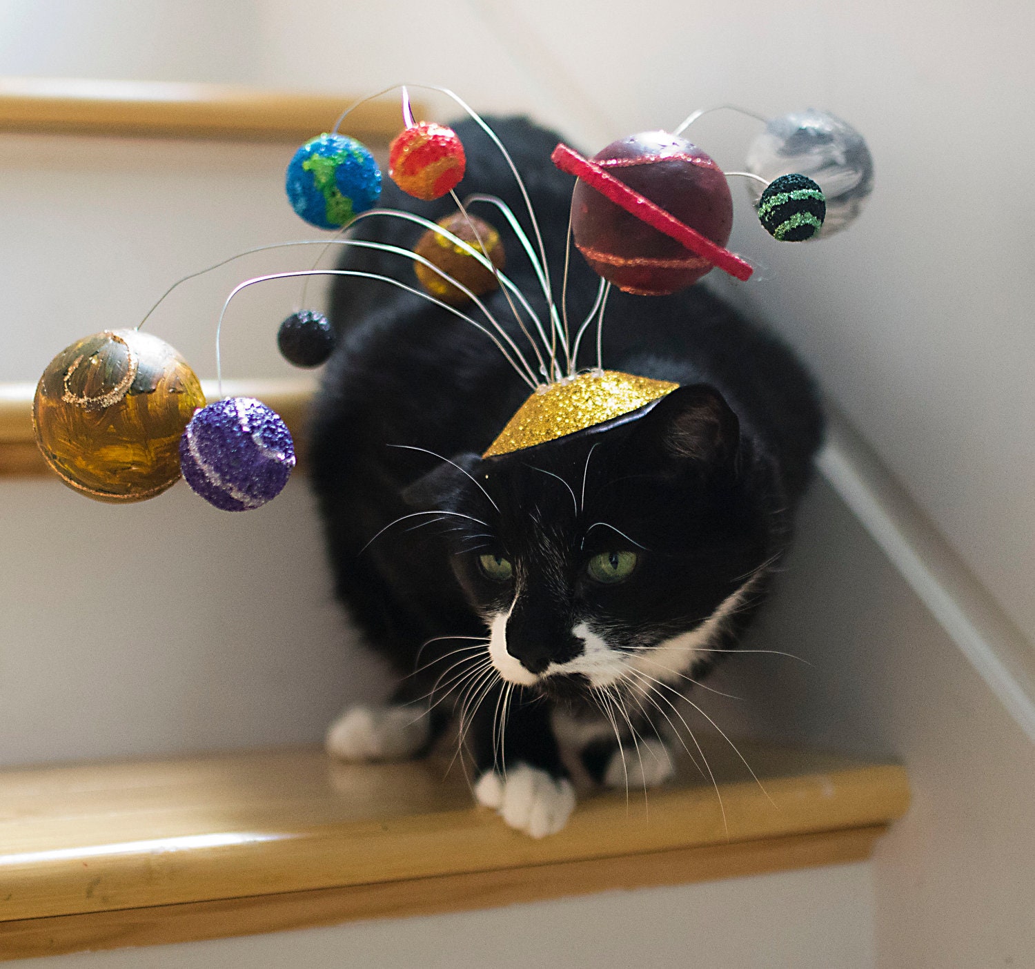 Cats Are Center of the Universe/ Solar System Cat Fascinator/ Planetary Kitty Hat