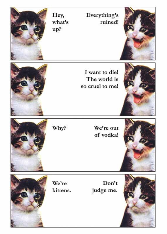Vodka Kittens 8 x 10 Art Cat Print