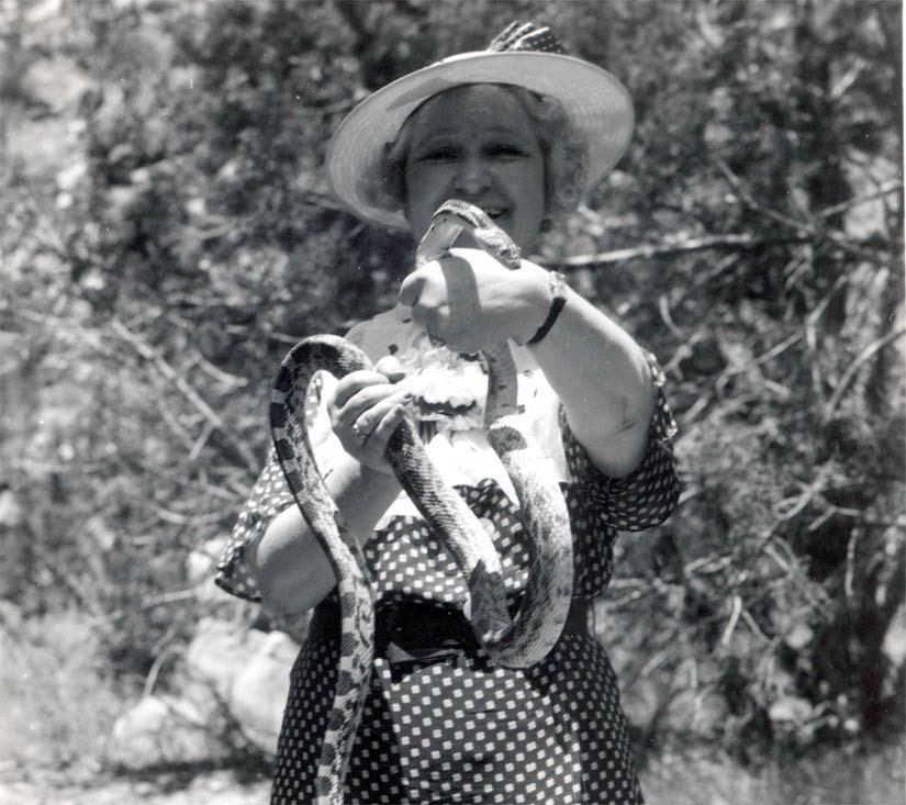 vintage photo A Snake Charmer Gay never Afraid of Anything Especially a Gopher Snake 1937 Utah