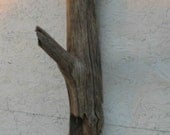 Coat Hook driftwood natural woodland hanger wall hook beach rustic