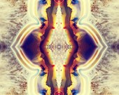 Petrified Wood Flower Photograph 8x10 psychedelic kaleidoscope trippy rust amethyst vibrant colorful wall art decor cream