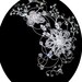 Wedding headband hair vine headpiece  Bridal hair clip fascinator necklace style B-018