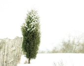 BOGO SALE, Winter Photography, white, snow, pale green, Snow Fence, nature fine art print 8x12 - moonlightphotography