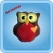 Baby Stuffed Owl