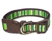 Holiday Christmas Dog Collar GREEN CANDY CANE green and brown stripe tag buckle collar - GreytEscape