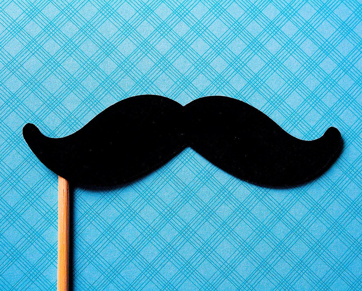 Mustaches on a Stick - The President (set of 10) Il_170x135