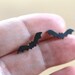 Halloween jewelry - black bat jewelry - black bat earrings - spooky earrings - sterling silver - goth