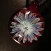 Air Trap Anemone Pendant, wearable art, handmade borosilicate glass, with satin cord, clasp and gift bag, unique gift, FREE SHIPPING
