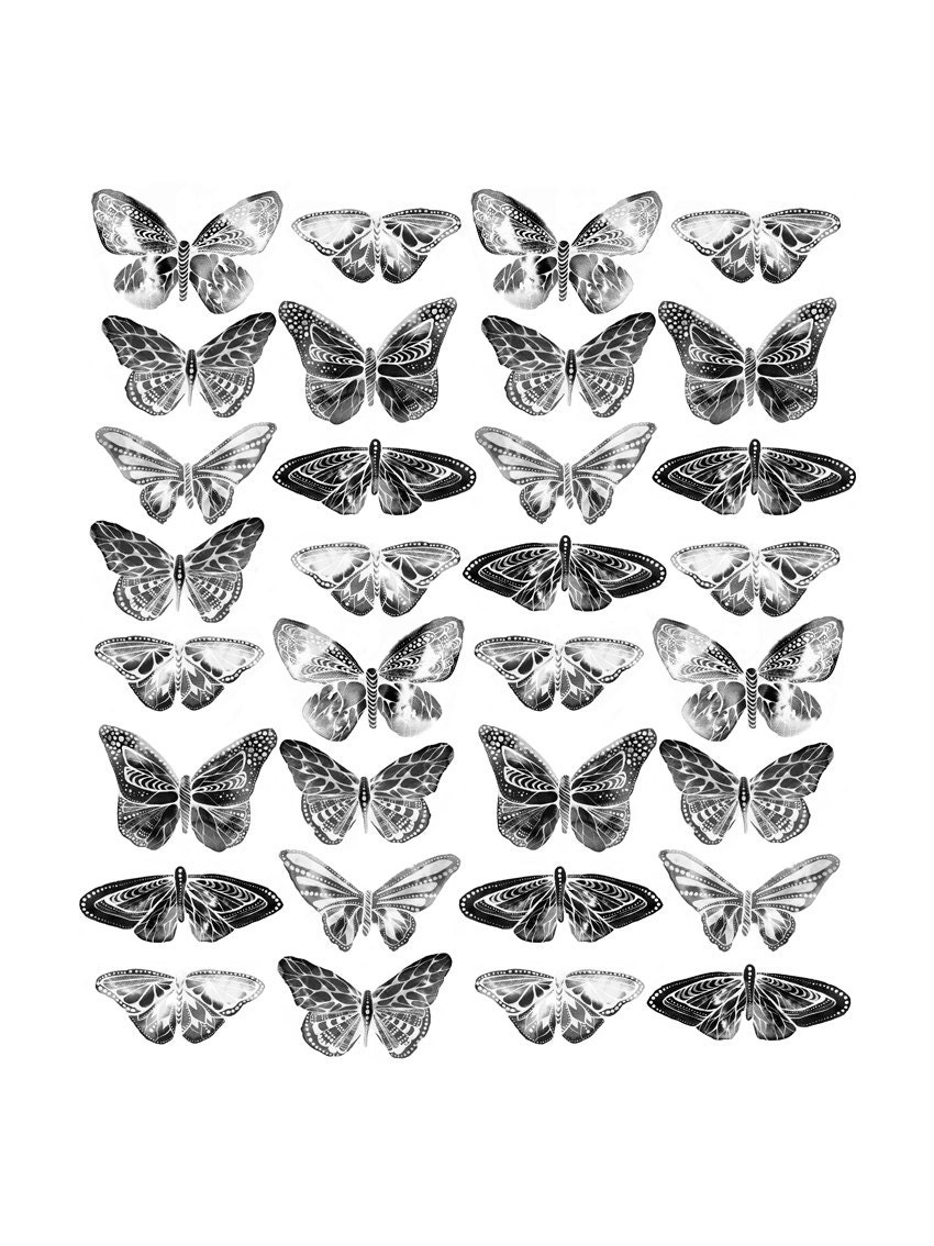 Butterflies, 50x70 cm (19,7x27,5 inch)