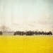 Landscape photography yellow decor modern art nature photograph teal sky mustard color - 5x5 photograph