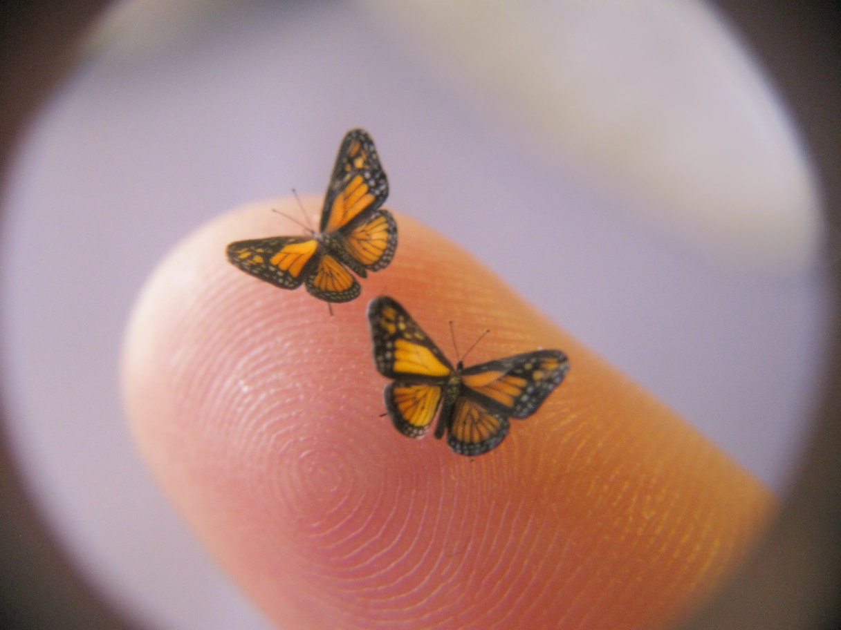 2 Still-Life Monarch Butterflies in Dollhouse Mini Scale - 1/4" Wingspans