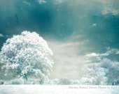 Nature Photography - Surreal Dreamy Fantasy Trees, Aqua, Turquoise Nature,  Ethereal Dreamy Fine Art Photograph 8" x 12"